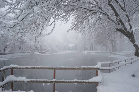 公园里的雪景