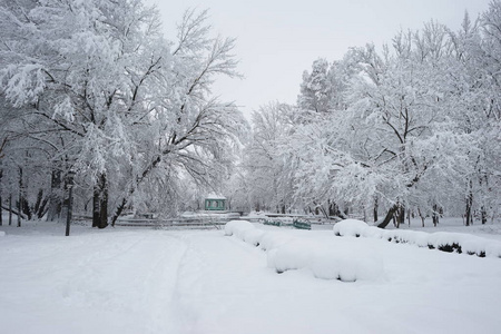 公园里的雪景