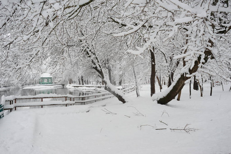 公园里的雪景