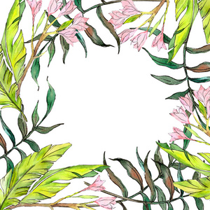 粉红色异国情调的热带夏威夷花。水彩背景插图集。框架边框装饰正方形