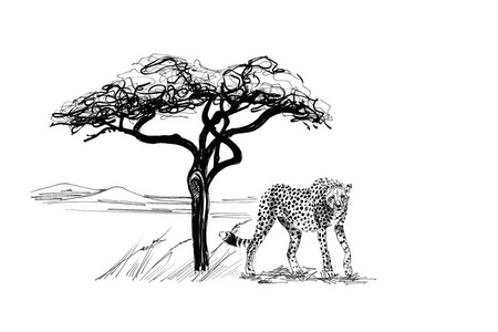 非洲一棵树附近的猎豹。 手绘插图。 收集手绘插图原件无追踪