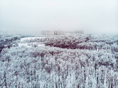 被霜覆盖的森林公园与许多树在雪和霜, 鸟图, 飞行在无人机在冬天风景之上