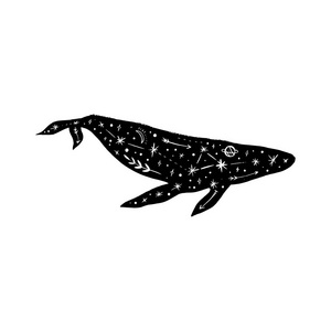 矢量图案鲸鱼月亮和恒星空间星座。 美丽的观赏动物印着北极光。 童话奇幻插图