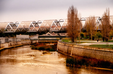 马德里的河流景观，包括金属现代桥和棕色叶子的树木