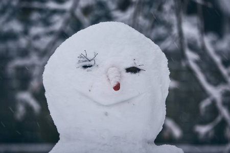 大雪人的头