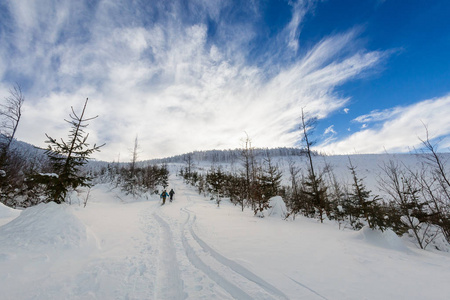 美丽的全景拍摄在波兰山定制在途中的哈拉脂鱼在下雪的冬天。 在徒步旅行中被人捕获的景观。