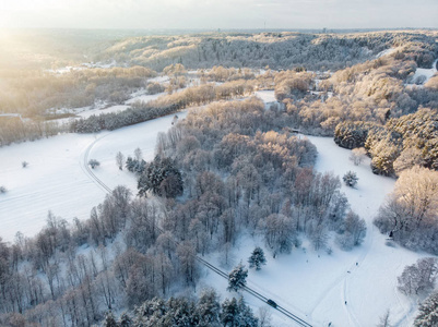 立陶宛维尔纽斯附近美丽的白雪覆盖松林的鸟瞰图