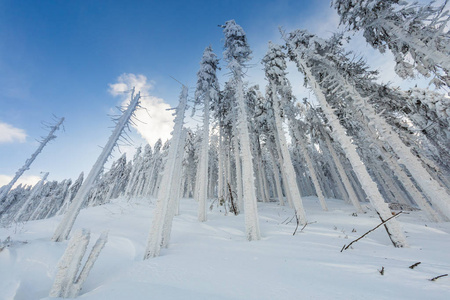 美丽的全景拍摄在波兰山定制在途中的哈拉脂鱼在下雪的冬天。 在徒步旅行中拍摄的景观。