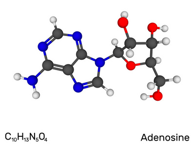 腺苷核苷神经递质模型分子。 三维矢量插图。