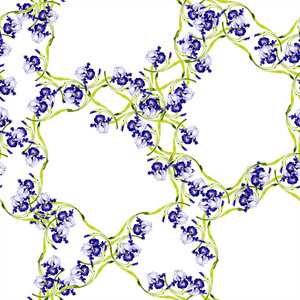 蓝色鸢尾花植物花。 野生春叶孤立。 水彩插图套装。 水彩画时尚服装。 无缝背景图案。 织物壁纸印花纹理。