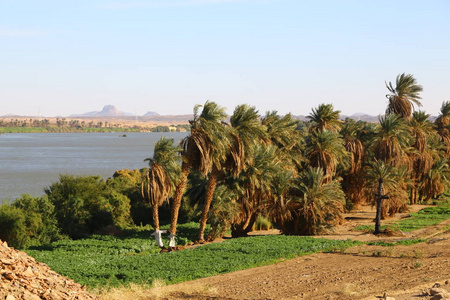 在非洲，苏丹，Kerma，尼罗河附近的尼罗河和自然的四白内障。