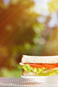 素食低碳水化合物三明治健康饮食自制和饮食以外的概念。 享用均衡的午餐