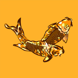 两个锦鲤鱼的矢量插图。 日本鲤鱼绘图。 亚洲鲤鱼鱼。