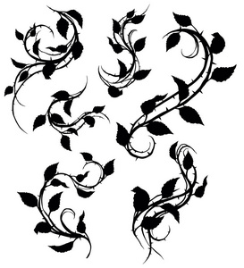 图形黑色轮廓花玫瑰枝与叶子和荆棘. 在白色背景上. 矢量图标集.