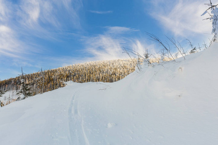 美丽的全景拍摄在波兰山定制在途中的哈拉脂鱼在下雪的冬天。 在徒步旅行中拍摄的景观。
