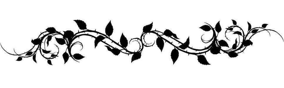 图形黑色轮廓花玫瑰枝与叶子和荆棘 在白色背景上 矢量图标集照片