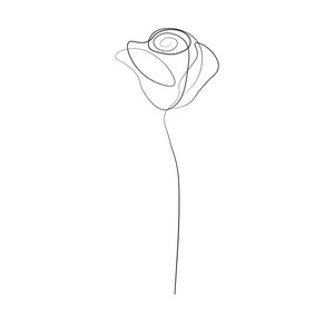 一行画玫瑰花，矢量插图