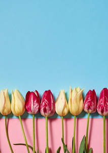 s Day, Easter, birthday. Nature background. Flat lay, top view