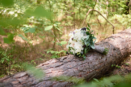 在户外的木质背景上，用缎带将白色牡丹玫瑰和绿色植物的小新娘花束合上，复制空间。婚礼概念