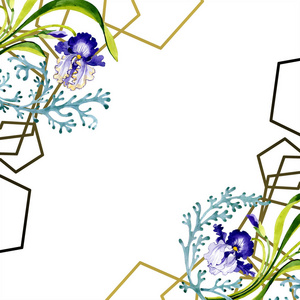 蓝色鸢尾花植物花..野春叶野花隔离..水彩背景插图一套..水彩画时尚服装。框架边框点缀广场..