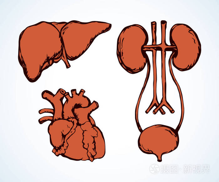 写意轮廓黑色墨水手绘图片标志草图在涂鸦雕刻复古图形风格.