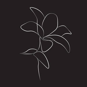 一条线画花图片