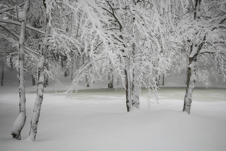 冰封的湖泊在蒙特亚米塔峰与雪