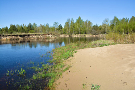 五月的开始在一条受保护的河流上。 春天的风景，河流和树木中的第一批绿色。