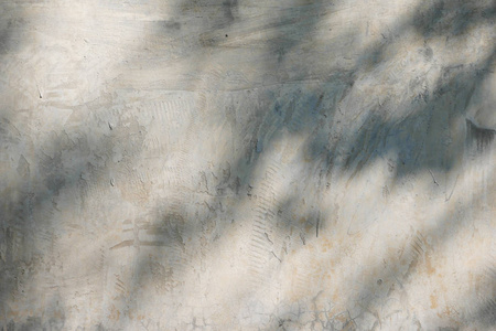 影子叶子在混凝土墙上的抽象背景文本