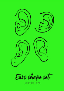 人类耳朵水彩画伊索尔的手绘插图
