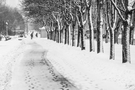 冬天的公园小巷。 公园里白雪皑皑的人行道的黑白图像。 冬季天气背景