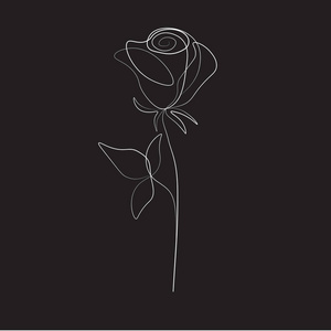 一条线画花一幅画玫瑰花矢量插图照片