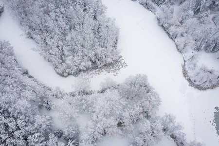 鸟瞰冬季美丽的景观，树木覆盖着海霜和雪。 上面的冬天风景。 用无人机拍摄的景观照片。