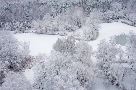 鸟瞰冬季美丽的景观，树木覆盖着海霜和雪。 上面的冬天风景。 用无人机拍摄的景观照片。