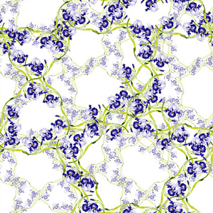 蓝色鸢尾花植物花。 野生春叶孤立。 水彩插图套装。 水彩画时尚服装。 无缝背景图案。 织物壁纸印花纹理。