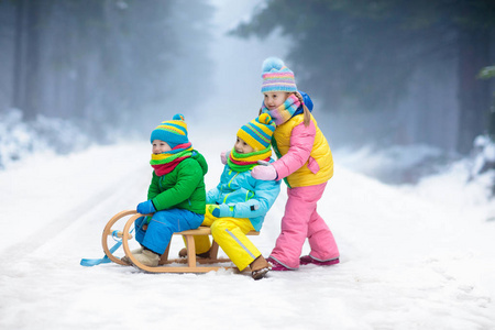 孩子们在冬天的雪地公园里雪橇. 家庭圣诞照片