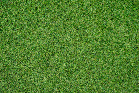 绿色的草坪纹理背景图片-绿色的草坪纹理背景素材-绿色的草坪纹理背景