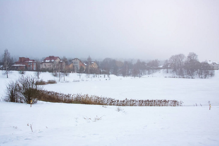 冬天雪下的河景，风景