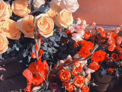 玫瑰, 五颜六色的花在外面的阳光明媚的日子。特写镜头