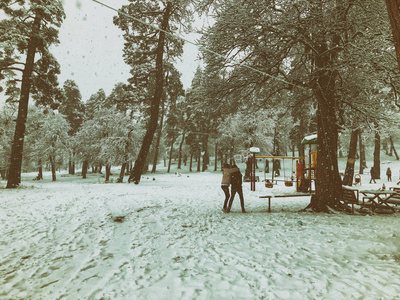 降雪。孩子们在雪地里散步。雪中的树。巴库里亚尼山区滑雪胜地