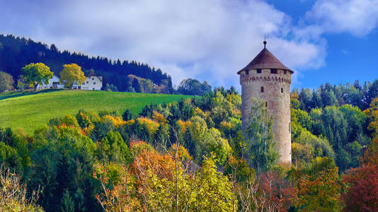 城堡在森林里在阳光明媚的日子里, 欧洲森林中的一座小山上的古老