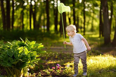 可爱的小男孩在阳光明媚的草地上用铲子网捕蝴蝶。大自然的研究。 年轻的博物学家。 好奇的孩子的暑期活动。