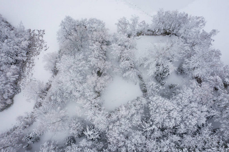 鸟瞰冬季美丽的景观，树木覆盖着海霜和雪。 上面的冬天风景。 用无人机拍摄的景观照片。