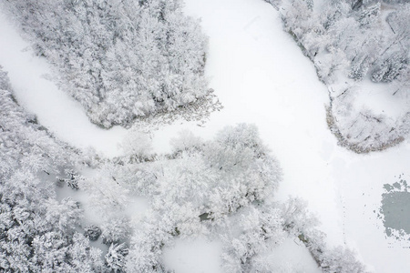 鸟瞰冬季美丽的景观，树木覆盖着海霜和雪。 上面的冬天风景。 用无人机拍摄的景观照片。