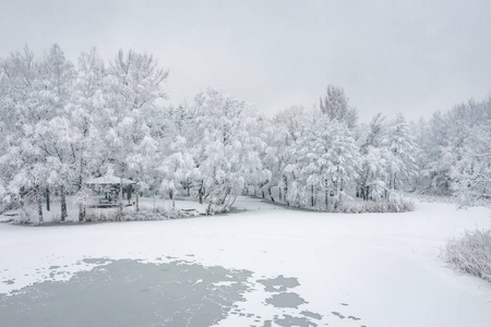 鸟瞰冬季美丽的景观，树木覆盖着海霜和雪。 上面的冬天风景。 用无人机拍摄的景观照片。