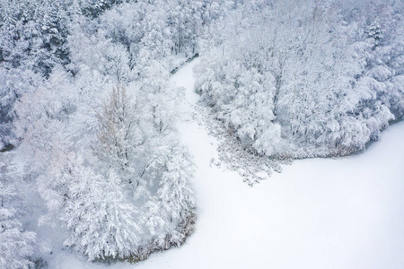 鸟瞰冬季美丽的景观，树木覆盖着海霜和雪。 上面的冬天风景。 用无人机拍摄的景观照片。