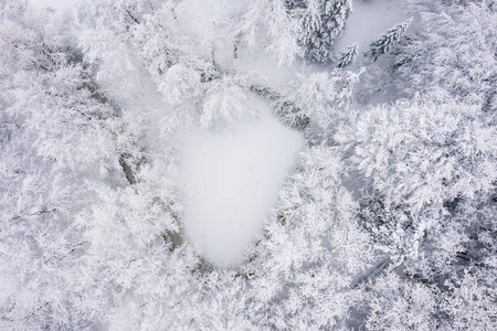 鸟瞰冬天美丽的景观，树木覆盖着海霜和雪。冬天的风景来自上面。用无人机拍摄的景观照片。