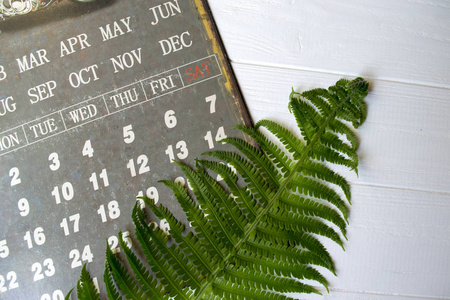 老式日历和绿色蕨类植物的白色木制背景。
