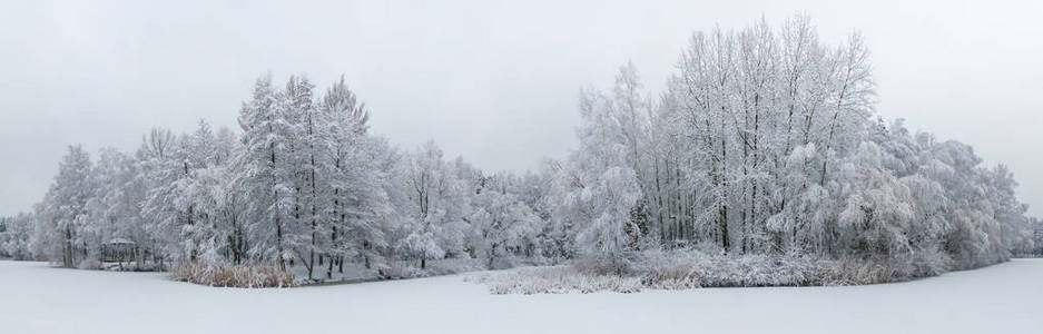 全景鸟瞰冬季美丽的景观，树木覆盖着海霜和雪。冬天的风景来自上面。用无人机拍摄的景观照片。