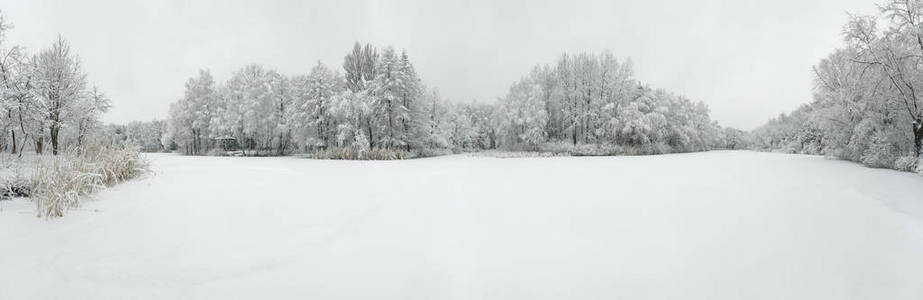 全景鸟瞰冬季美丽的景观，树木覆盖着海霜和雪。冬天的风景来自上面。用无人机拍摄的景观照片。